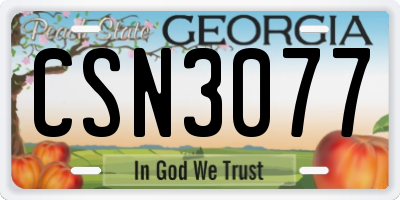 GA license plate CSN3077