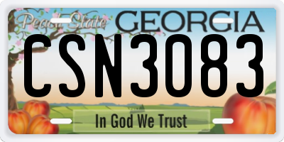 GA license plate CSN3083