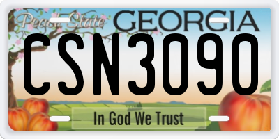 GA license plate CSN3090