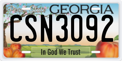 GA license plate CSN3092