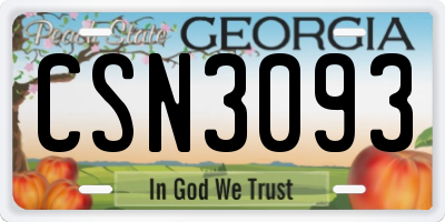 GA license plate CSN3093