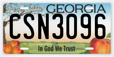 GA license plate CSN3096