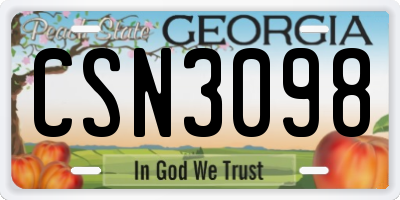 GA license plate CSN3098