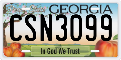 GA license plate CSN3099