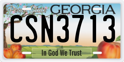 GA license plate CSN3713