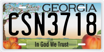 GA license plate CSN3718