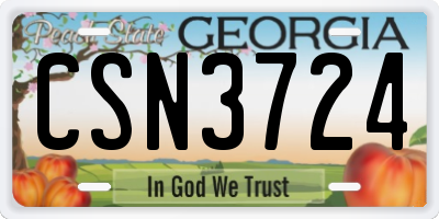 GA license plate CSN3724