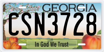 GA license plate CSN3728