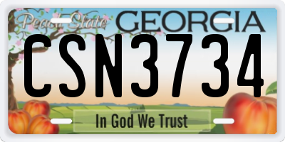 GA license plate CSN3734