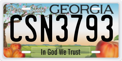 GA license plate CSN3793