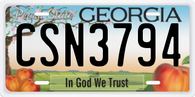GA license plate CSN3794