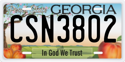 GA license plate CSN3802