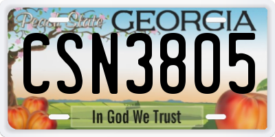 GA license plate CSN3805