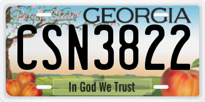 GA license plate CSN3822