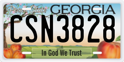 GA license plate CSN3828
