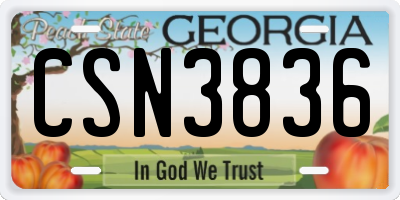 GA license plate CSN3836