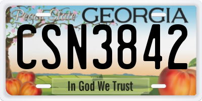 GA license plate CSN3842