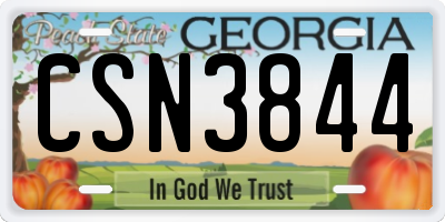 GA license plate CSN3844