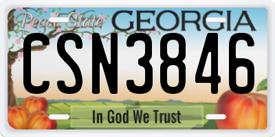 GA license plate CSN3846