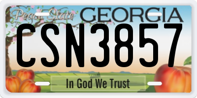GA license plate CSN3857