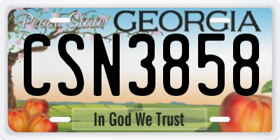 GA license plate CSN3858