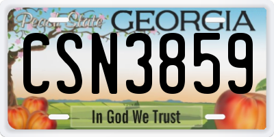 GA license plate CSN3859