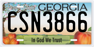 GA license plate CSN3866