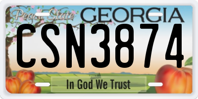 GA license plate CSN3874