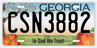GA license plate CSN3882