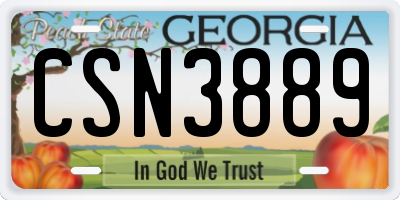 GA license plate CSN3889