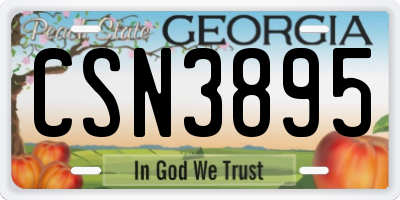 GA license plate CSN3895