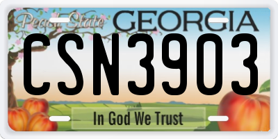 GA license plate CSN3903