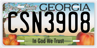 GA license plate CSN3908