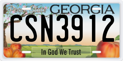 GA license plate CSN3912