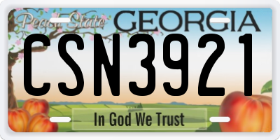 GA license plate CSN3921