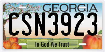 GA license plate CSN3923