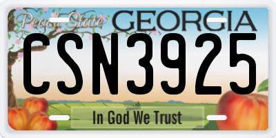 GA license plate CSN3925