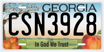GA license plate CSN3928