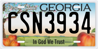 GA license plate CSN3934