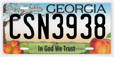 GA license plate CSN3938