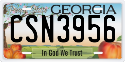 GA license plate CSN3956