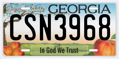 GA license plate CSN3968