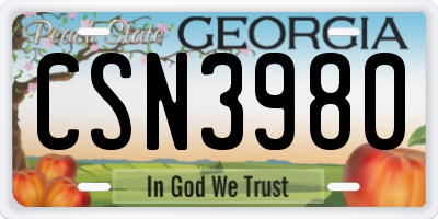 GA license plate CSN3980