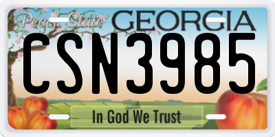 GA license plate CSN3985