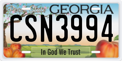 GA license plate CSN3994