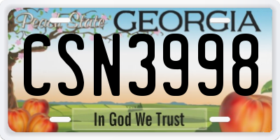 GA license plate CSN3998