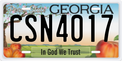 GA license plate CSN4017