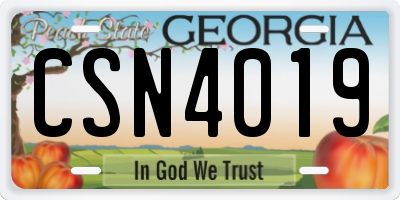 GA license plate CSN4019
