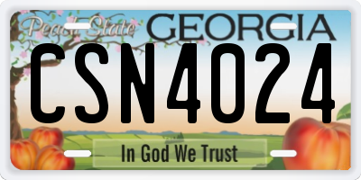 GA license plate CSN4024
