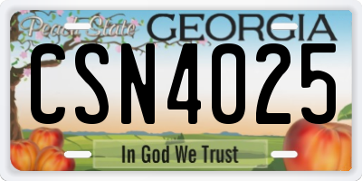 GA license plate CSN4025